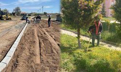 Balışeyh’te İlçeyi Güzelleştirme Çalışmaları Sürüyor