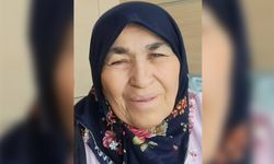 Ahılı Köyü Bir Değerini Kaybetti