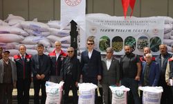 Sulakyurt’ta Üreticiye 51 Ton Sertifikalı Çeltik Tohumu Dağıtıldı