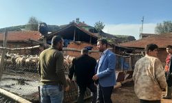 Yenice Köyü’nde Sel Felaketi: Hayvan Kaybı Yaşandı, Can Kaybı Yok