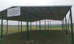 Kırıkkale Meralarında Gölgelik Kurulumu Devam Ediyor
