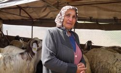 Evlat Gibi Büyüttü, Kurtlara Kaptırdı