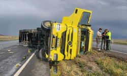 Tır Devrildi, Anguslar Kayboldu