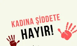 Meclis’ten Kadına Şiddetle Mücadelede 113 Maddelik Yol Haritası