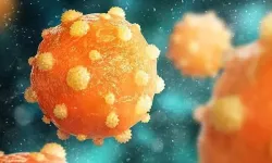 Yunanistan’da Strep A Alarmı: 9 Okulda Eğitime Ara Verildi