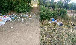 Karaahmetli Tabiat Parkı'nda Çöp Sorunu: Doğaya Bu Reva mı?