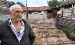 Ağıla Giren Kurt, 16 Küçükbaş Hayvanı Telef Etti