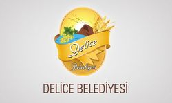 Delice Belediyesi'nden İş İmkanı
