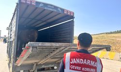 Yahşihan’da Hayvan Sevk ve Nakil Belgeleri Denetlendi