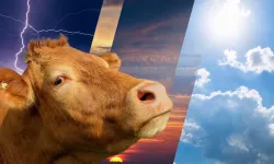 Kurban Bayramı'nda Hava Durumu Nasıl Olacak?