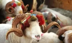 İyi Bayramlar Türkiye, İyi Bayramlar Kırıkkale