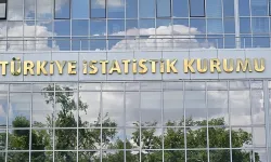 Türkiye'de İşsizlik Mayıs Ayında Geriledi: Oran Yüzde 8,4'e Düştü