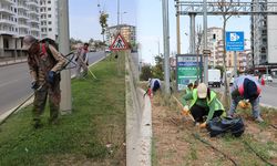 Kırıkkale Belediyesi’nden Yeşil Alanlarda Bakım Seferberliği