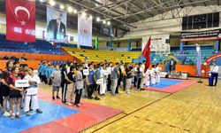 Kırıkkale’de ANALİG Karate Heyecanı Başladı