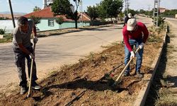 Hacılar’da Atatürk Bulvarı’ndaki Güllere Düzenli Bakım