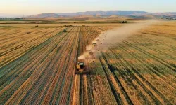 Çiftçilere 42 Milyon Euroluk Yeni Destek Müjdesi