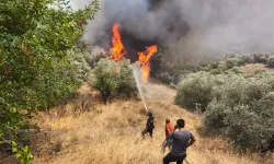 Orman Yangınlarına 39 Bin Gönüllüyle Müdahale!