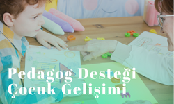 Pedagog Desteği ile Çocuğunuzun Gelişimine Yön Verin