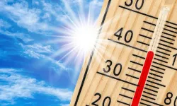Orman Yangınları İçin Risk Ekibi Kuruluyor