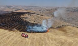 Kırıkkale’de Anız Yangını: Yeni Dikilen Fidanlar Küle Döndü