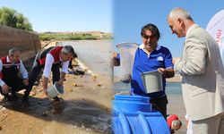 Kapulukaya Barajı’na 695 Bin Yavru Sazan Bırakıldı