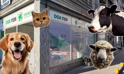 DOA Yem Kırıkkale’de Hizmete Başladı