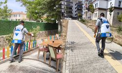 Delice’de Haşere İlaçlama Çalışmaları Sürüyor