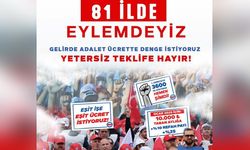 Memur-Sen Teklife Karşı Meydana İniyor