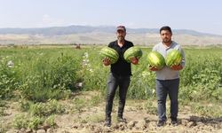 Kırıkkale Pazarlarına Sekili’den Taze Karpuz Geliyor