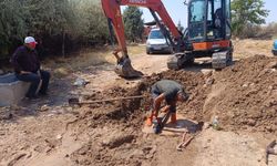 Ekipler dört köyde hummalı çalışıyor