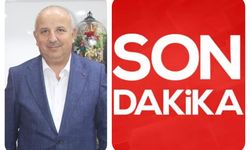 Otomobil eşeğe çarptı ,Başkan yaralı