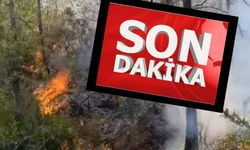 Ceritmüminli'de gece yangını