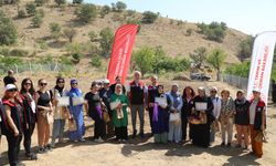 Kırıkkale’de “Safran Kokulu Hayaller” Toprakla Buluştu