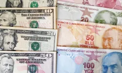 Firmaların Net Döviz Açığında Temmuzda Düşüş