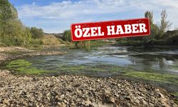 Kızılırmak’ın Debisi Azaldı, Irmak Yatağı Daraldı