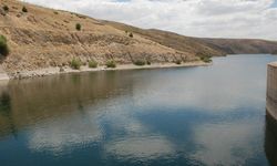 Sulakyurt’ta Çiftçiler Sezonu Verimli Kapattı
