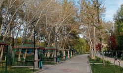 Yahşihan Belediyesi’nden Parklara Titiz Bakım