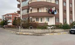 Eski Eşiyle Karşılaştı, Sonu Faciaya Dönüştü