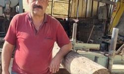 İşçi tomruğun altında can verdi