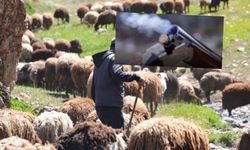 Kırıkkale'de çoban gözünden vuruldu
