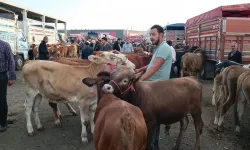 Kırıkkale Hayvan Pazarı Geçici Olarak Kapatıldı