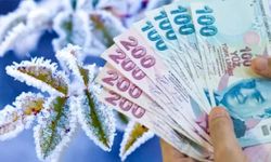 Zirai Don Zararları İçin Üreticilere Ödemeler Başladı