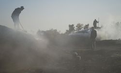 Meşe Odunundan Mangal Kömürü: Emekle Gelen Ekmek