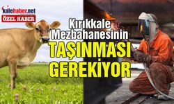 Sanayi Bölgesinde Sıkışıp Kaldı