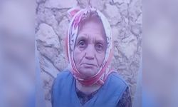 Mantar Toplarken Kaybolan Yaşlı Kadın Ölü Bulundu