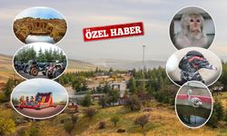 Doğayla İç İçe Bir Mola: Celal Altınışık Parkı