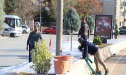 Yahşihan’da Çevre Düzenlemesi Tam Gaz