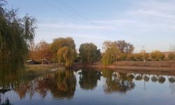 Celal Bayar Parkı’nın Sonbahar Hatırası