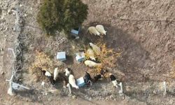 Kırıkkale’de Kayıp 15 Küçükbaş Drone İle Bulundu