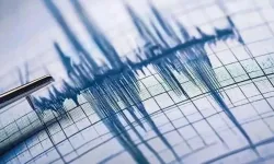 Sallandık! Deprem Korkuttu